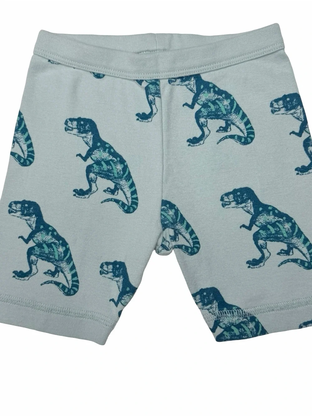 Tea Collection Dinosaur Shorts Pajamas